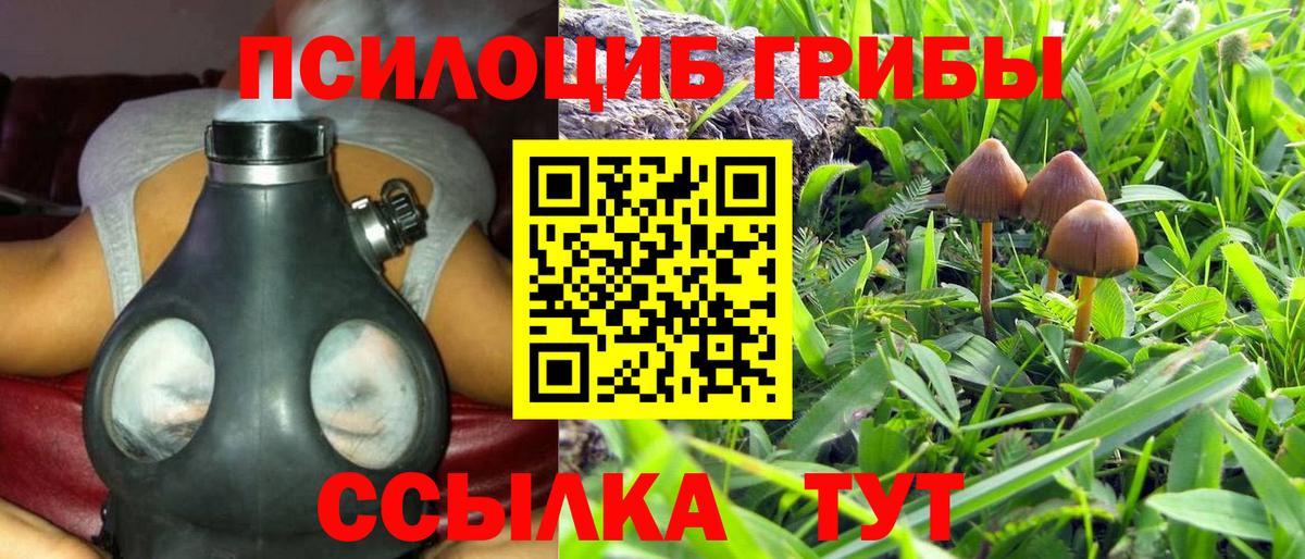 Галлюциногенные грибы прущие грибы  Галлюциногенные грибы мухоморы  Вход с VPN  Киселёвск 