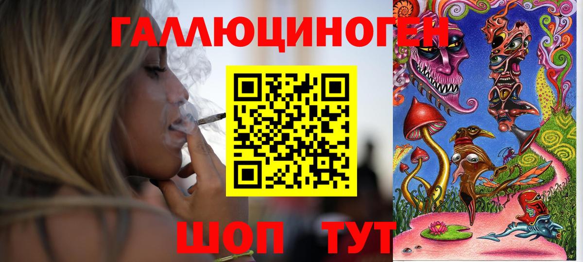 Галлюциногенные грибы Psilocybine cubensis Киселёвск