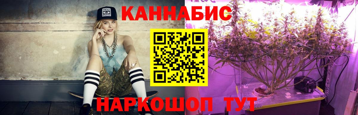 Бошки марихуана гибрид Киселёвск